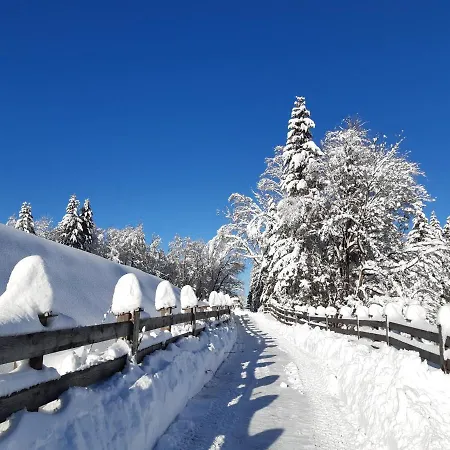 Leitner بيت ضيافة 3*